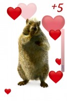 Murmeli belohnt dich mit seiner Liebe Murmeli belohnt dich mit seiner Liebe