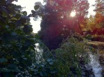 Ententeich im Herbst 2011