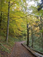 Wanderweg in Ramsau