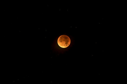 Blutmond - 12 Days of Hennes Christmas – Meine 12 Monate in Bildern (September 2015)
