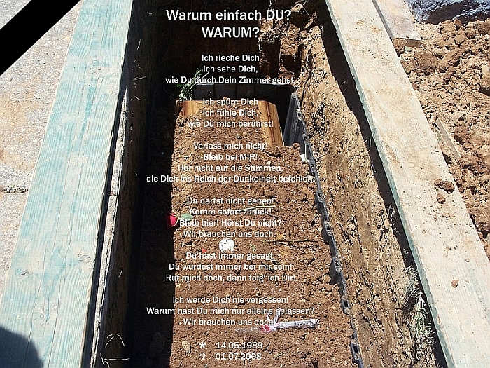Warum musstest du sterben? Warum bist du ohne mich gegangen? Ich vermisse dich doch so! Warum musstest du sterben? Warum bist du ohne mich gegangen? Ich vermisse dich doch so!