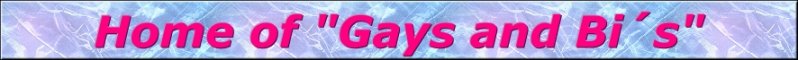 Header von Home of Gays and Bis