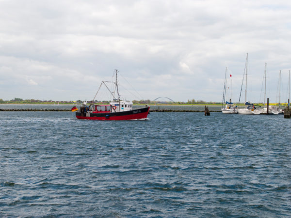 Fischerboot im Hafen von Burgstaaken