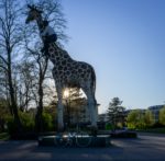 Gottfried CC Hagenbeck on Giraffe, Hamburg, Germany