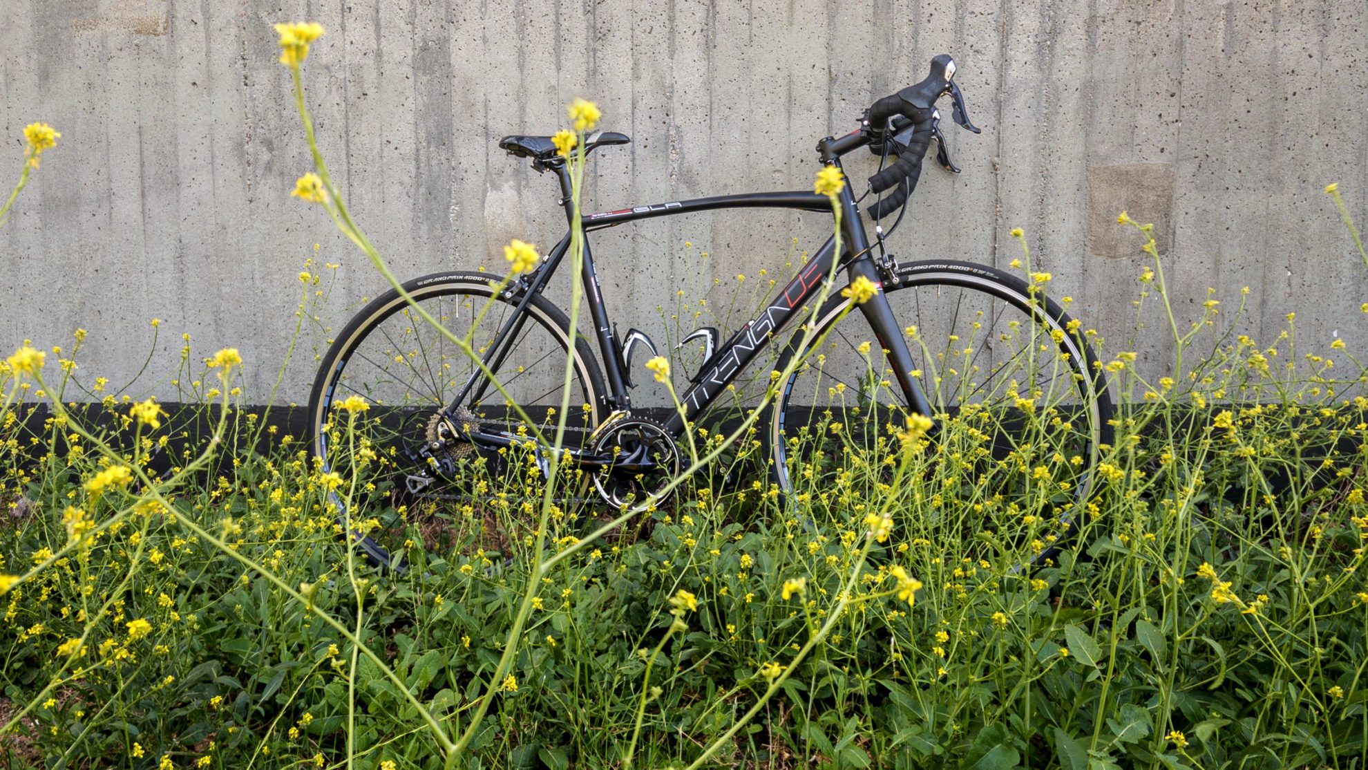 Das Rennrad und Köhlbrandbrücke