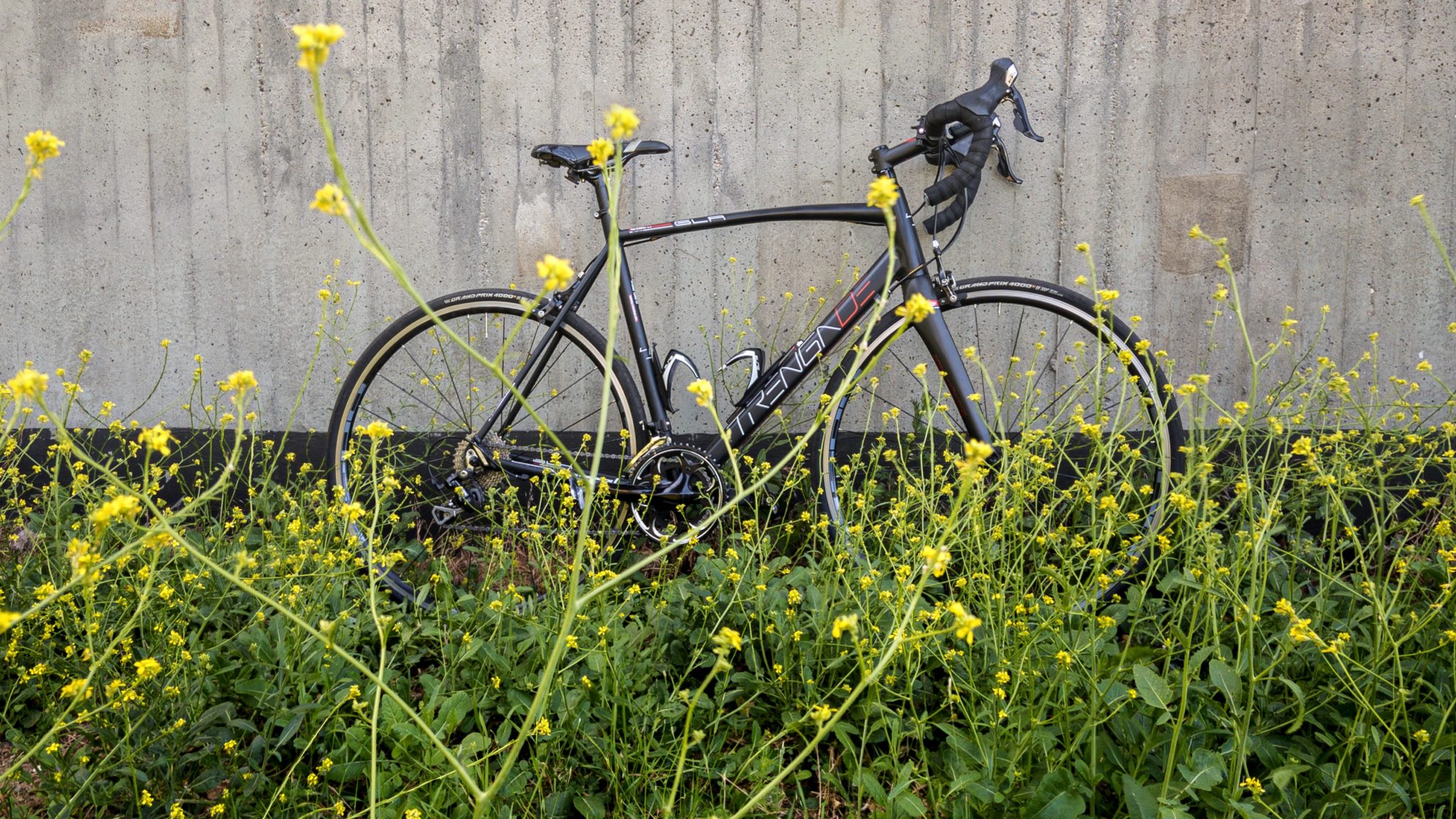 komoot route to wahoo