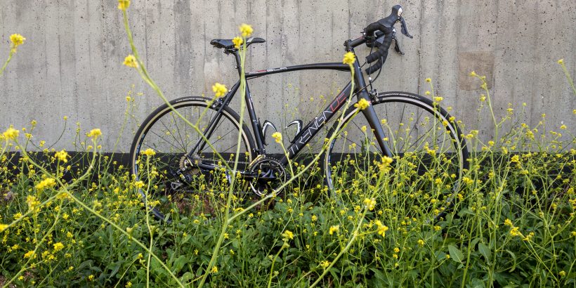 Das Rennrad und Köhlbrandbrücke