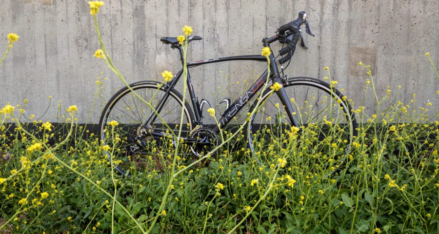 Das Rennrad und Köhlbrandbrücke