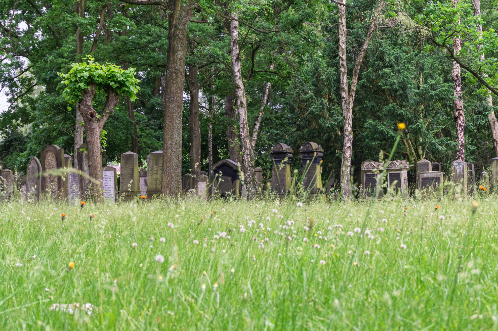 Jewish cemetery Langenfelde, Hamburg, Germany