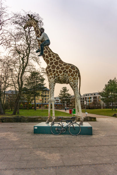 Gottfried CC Hagenbeck on Giraffe, Hamburg, Germany