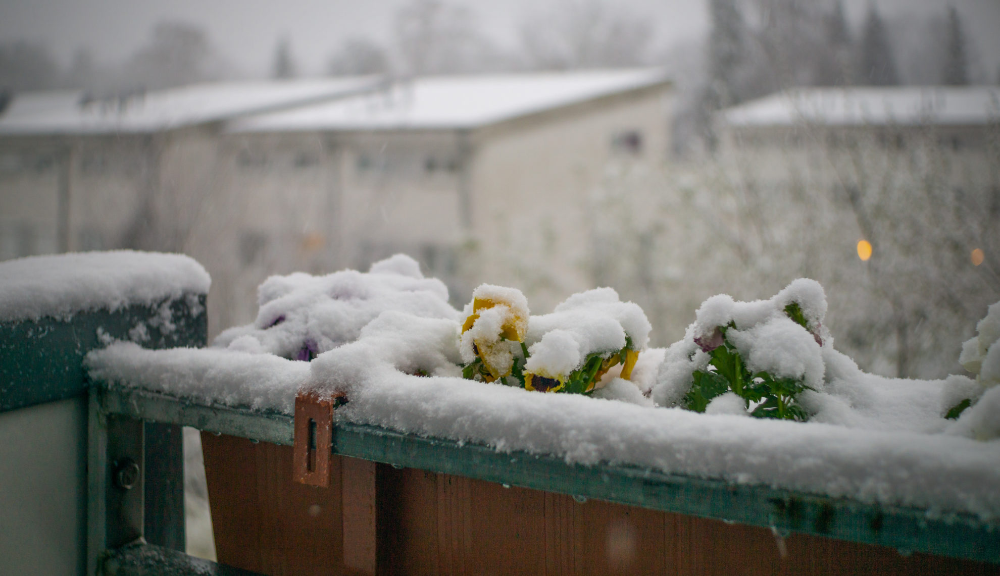 Schnee im März